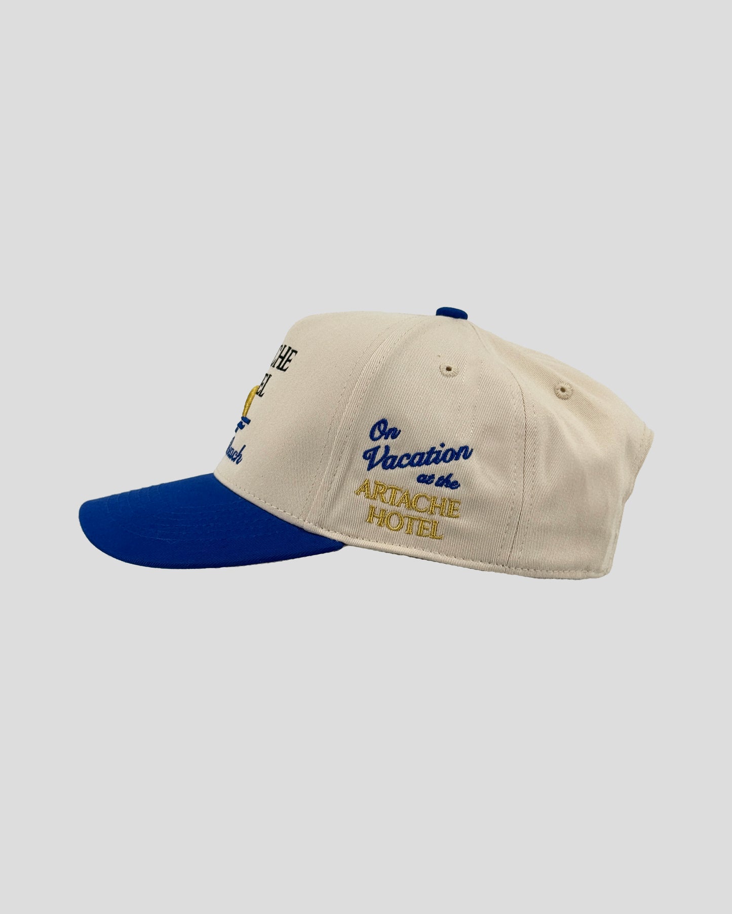 AH Venice Beach Wave Baseball Cap