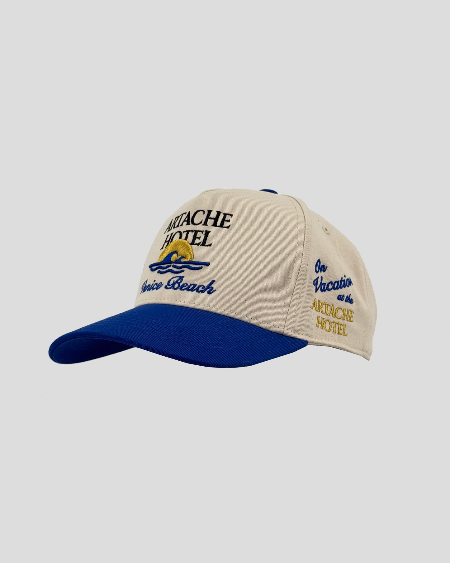 AH Venice Beach Wave Baseball Cap